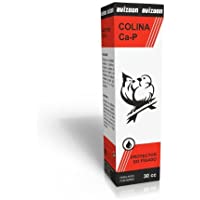 Colina Ca-P 30ml de Avizoon (problemas de hígado y digestivos).